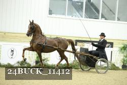 24BUCK_11412 proof