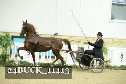 24BUCK_11413 proof