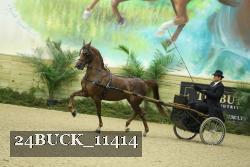 24BUCK_11414 proof