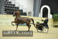 24BUCK_11415 proof