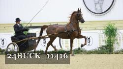 24BUCK_11416 proof