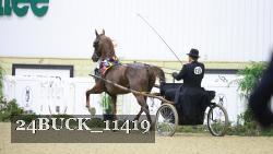24BUCK_11419 proof