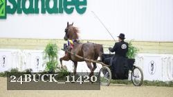 24BUCK_11420 proof