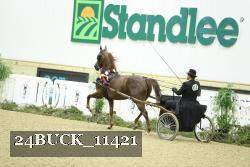 24BUCK_11421 proof