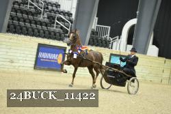 24BUCK_11422 proof