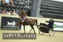 24BUCK_11423 proof