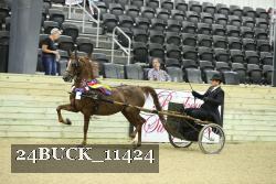 24BUCK_11424 proof