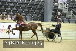 24BUCK_11425 proof
