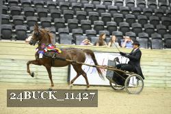 24BUCK_11427 proof