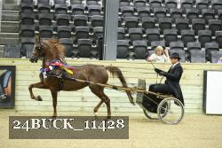 24BUCK_11428 proof