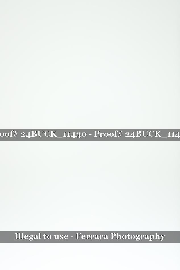 Proof 24BUCK_11430