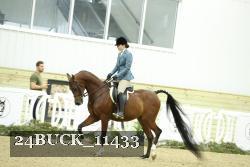 24BUCK_11433 proof