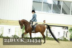 24BUCK_11434 proof