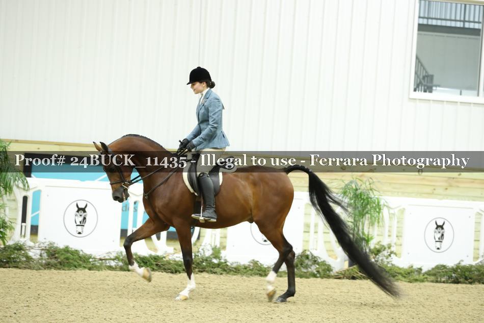 Proof 24BUCK_11435