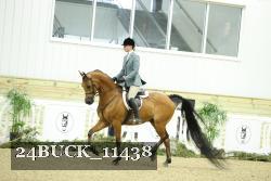 24BUCK_11438 proof