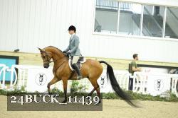 24BUCK_11439 proof