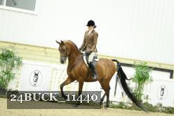 24BUCK_11440 proof