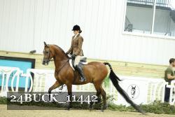24BUCK_11442 proof