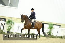 24BUCK_11443 proof