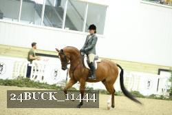 24BUCK_11444 proof