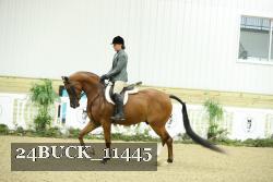 24BUCK_11445 proof