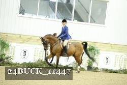 24BUCK_11447 proof