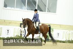 24BUCK_11448 proof