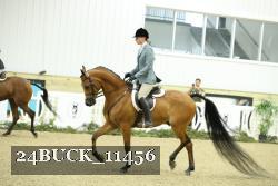 24BUCK_11456 proof