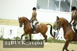 24BUCK_11461 proof