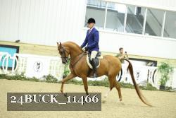 24BUCK_11466 proof