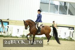 24BUCK_11470 proof