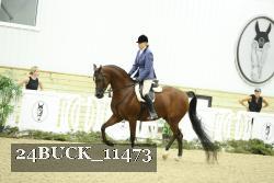 24BUCK_11473 proof