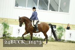 24BUCK_11475 proof
