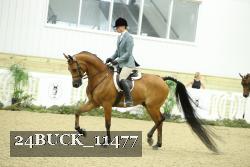 24BUCK_11477 proof