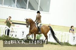 24BUCK_11481 proof