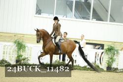 24BUCK_11482 proof
