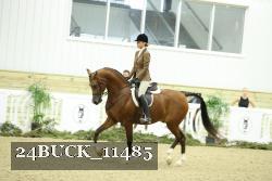 24BUCK_11485 proof