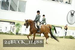 24BUCK_11488 proof