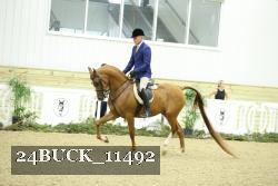24BUCK_11492 proof