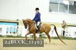 24BUCK_11493 proof