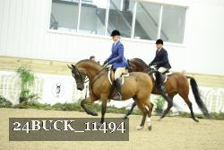 24BUCK_11494 proof