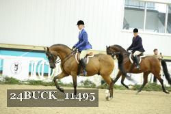 24BUCK_11495 proof