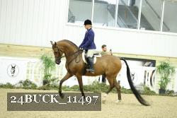 24BUCK_11497 proof