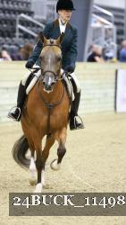 24BUCK_11498 proof