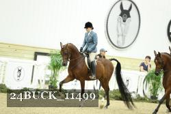 24BUCK_11499 proof