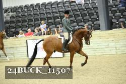 24BUCK_11507 proof