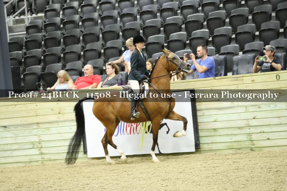 Proof 24BUCK_11508