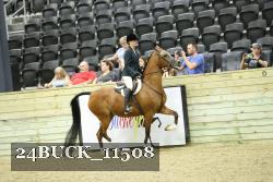 24BUCK_11508 proof