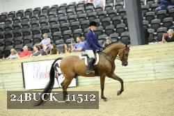 24BUCK_11512 proof