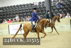 24BUCK_11515 proof